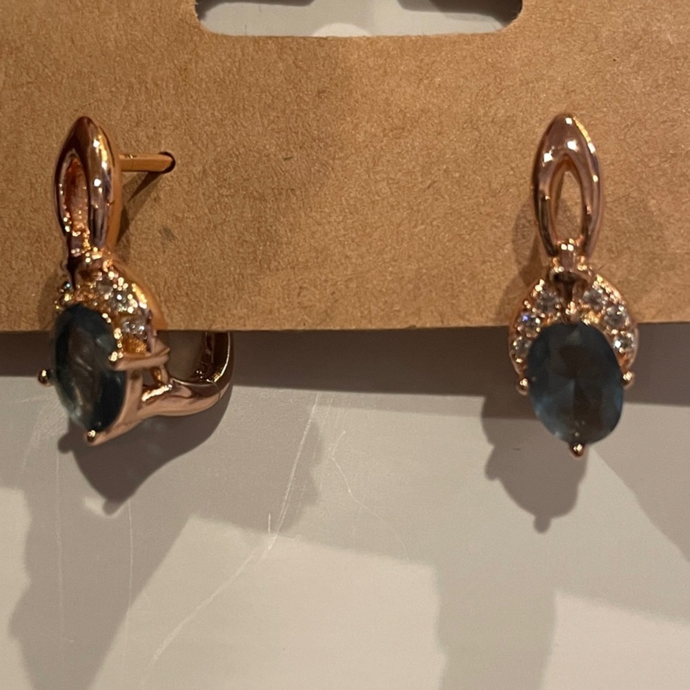 Elegant Blue and Gold Earrings